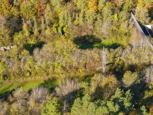 An antenna stands in an autumn-coloured forest