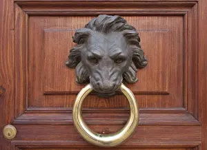 Antique door knocker in the form of a lion's head on old wooden door