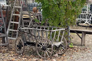 Antique handcart, ladder wagon