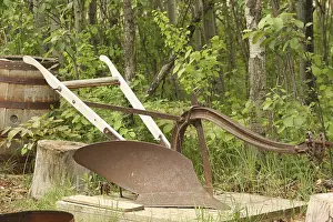 An antique one share horse drawn plow abandoned in a forest of birch trees in spring in Winnipeg