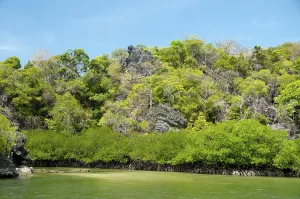 Ao Pante Melaka is a long bay on the northwest shore of Ko Tarutao