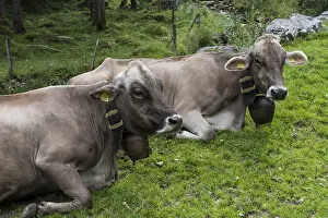 Appenzell, Switzerland - July 18