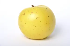 Apple Pomme couplet de Pledran