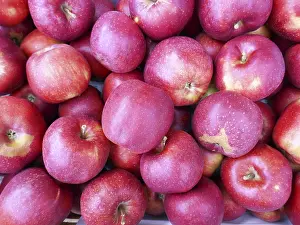 Apples in the sales box