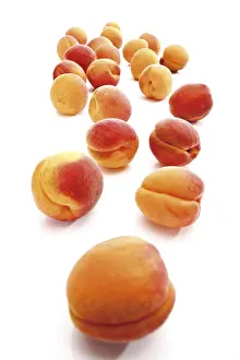 Apricots (Prunus armeniaca)