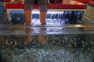 Aquarium with fish to remove dead skin from feet and legs