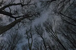 Aquila star constellation, Night sky