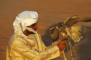 Arab falconner with a Gyrfalcon (Falco rusticolus)