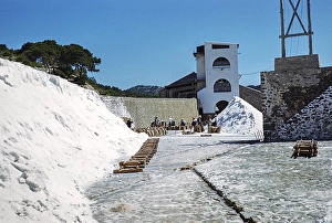Arbeiter in der Salzproduktion, Salinera de Sa Canal, Ibiza, Balearen, Spanien in den 1950er Jahren