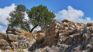 Archaeological site, UNESCO World Heritage Site