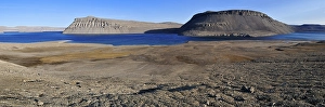 Arctic tundra at Maxwell Bay, Devon Island
