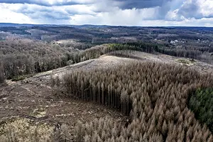 Area in the Arnsberg Forest near Warstein-Sichtigvor