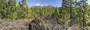 Arena Negras, behind Pico del Teide
