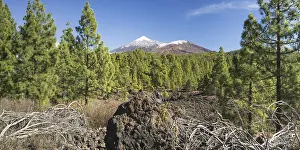 Category Mountain Landscapes Prints: Arena Negras, behind it Pico del Teide