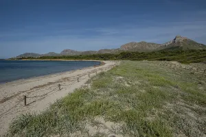 Arenal de sa Canova, Arta - Santa Margalida
