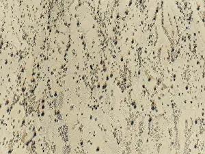Arid desert plain and dried-up riverbeds with sparse vegetation