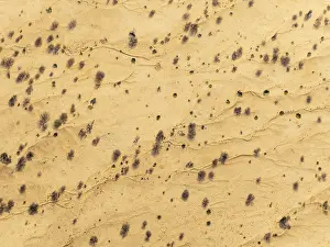 Arid desert plain with sparse vegetation