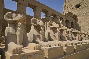 Aries Alley, First Forecourt, Karnak Temple