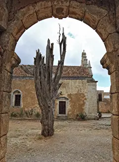 Arkadi Monastery, the bullet tree