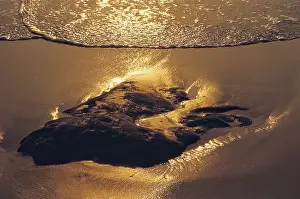 Arriving Wave Reflecting Sun rays at Sunset