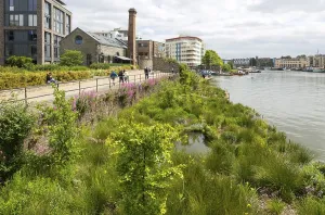 Artificial wetland plants growing on Biomatrix raft on water