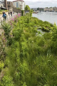 Artificial wetland plants growing on Biomatrix raft on water