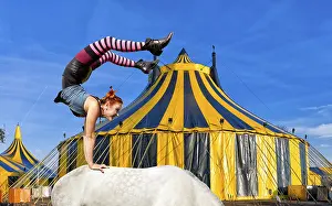 Artist, handstand on a horse