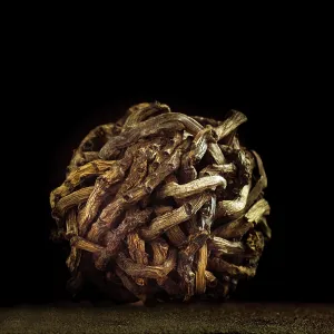 The artwork features a detailed spherical shape formed from intertwined twigs