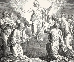 The Ascension of Jesus, New Testament