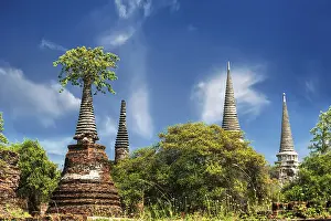 Asian religious architecture. Ancient ruins with growing trees under blue sky
