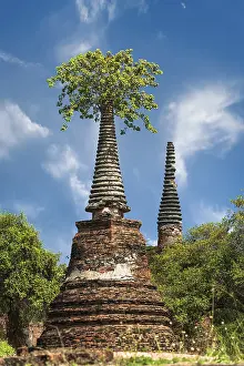 Asian religious architecture. Ancient ruins with growing trees under blue sky