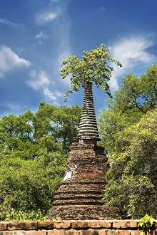 Asian religious architecture. Ancient ruins with growing trees under blue sky