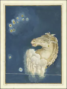 Astronomy. The celestial atlas, the Uranometria, Ptolemaic constellations, by Johann Bayer (1572 - 7 March 1625), German astronomer, Equuleus, Fuellen, Fohlen, a constellation north of the celestial equator