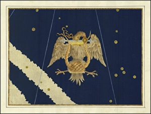 Astronomy. The celestial atlas, the Uranometria, Ptolemaic constellations, by Johann Bayer (1572 - 7 March 1625), German astronomer, Lyra, lyre, constellation of the northern starry sky, digitally enhanced reproduction of a historical model