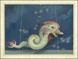 Astronomy. The Celestial Atlas, the Uranometria, Ptolemaic constellations, by Johann Bayer (1572 - 7 March 1625), German astronomer, Piscis Austrinus, Pisces, a constellation of the ecliptic, digitally enhanced reproduction of a historical model