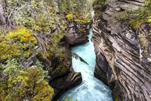 Athabasca River, Jasper National Park