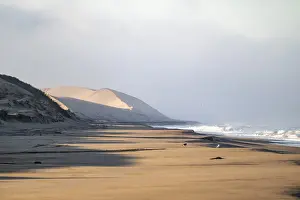 Atlantic coast, sandy beach and sand dunes