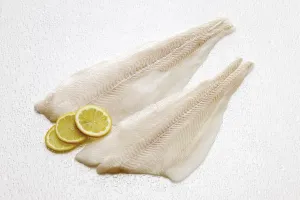Atlantic Halibut filets, raw (Hippoglossus hippoglossus)