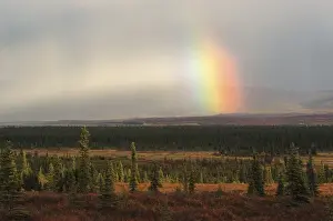 Atmospheric ligth with rainbow Denali Nationalpark Alaska USA