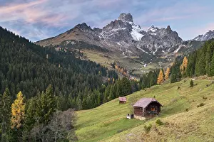 Aualm in autumn, large Bischofsmuetze