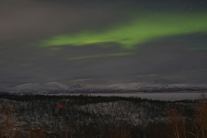 Aurora borealis over snow-covered mountains and birch trees