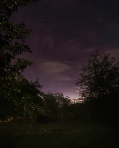 Aurora, Night sky, Minsk, Belarus
