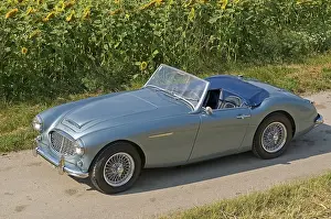 Austin-Healey 3000, built in 1959