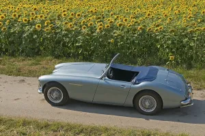 Austin-Healey 3000, built in 1959
