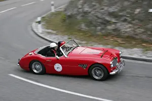 Austin Healey, built 1959