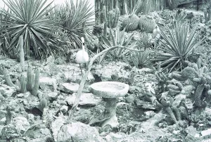 Australia: The front garden of an underground dwelling in the outback opal mining town of Coober Pedy