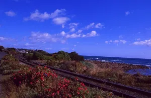 Australia: The railway at the north coast of Tasmania