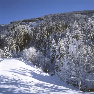 AUT, Austria, Gasteiner Tal: Winter in the Gasteiner Tal