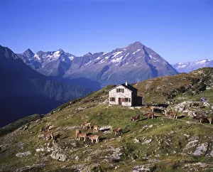 AUT, Austria: The versatility of the Alpine mountains inspires not only residents from the flat countryside