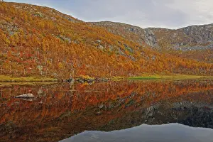 Autumn atmosphere at a lake, reflection